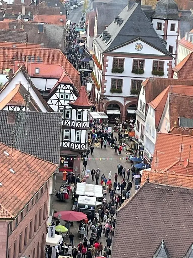 Wohnen Im Springerhof Apartment Lohr am Main