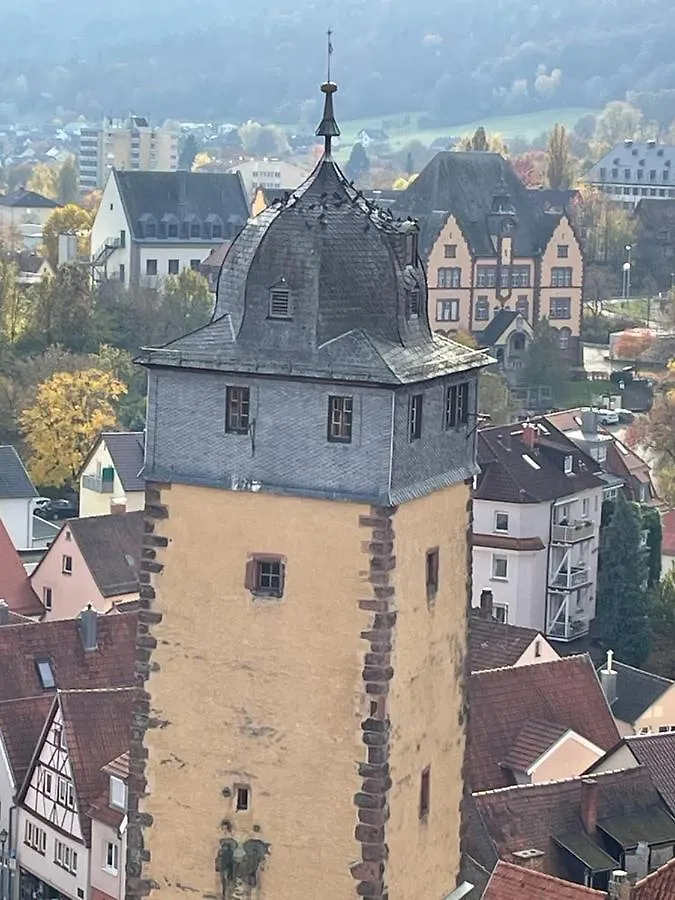 Wohnen Im Springerhof Apartment Lohr am Main